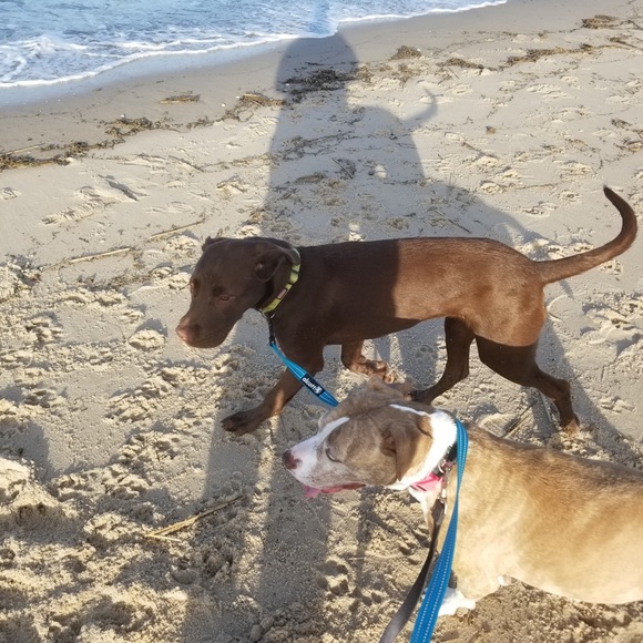 Meet your Posher, Jess - Picture 1 of 1